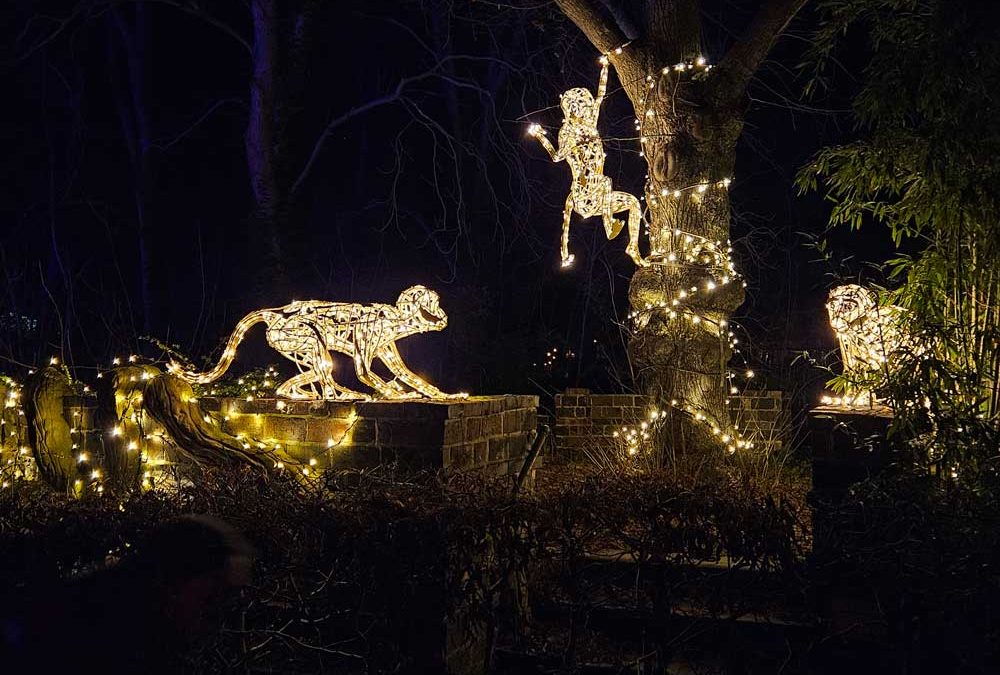 More Music and a Night at the Zoo