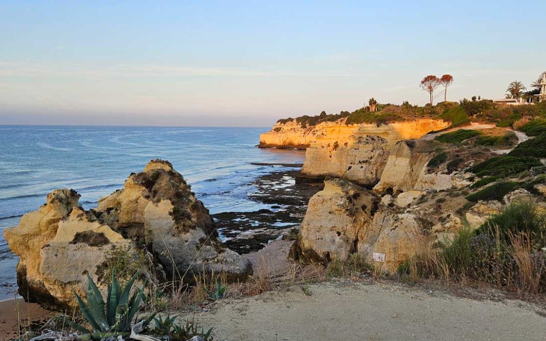 Portugal, Germany, and A Little Friend