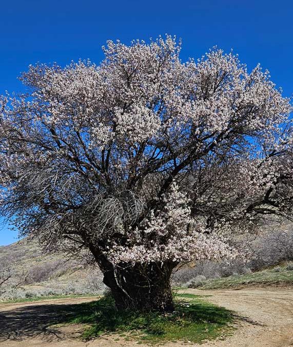 Closing This Chapter